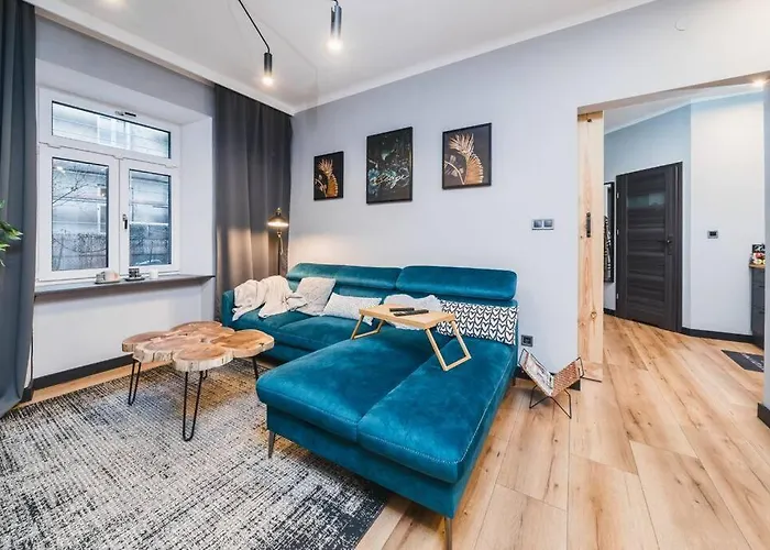 Zender Kazimierz كراكوفيا